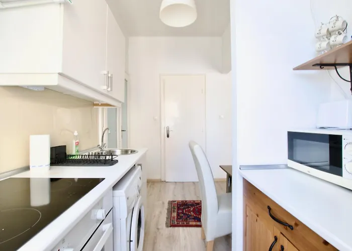 Standard By Hi5 - Károly 23